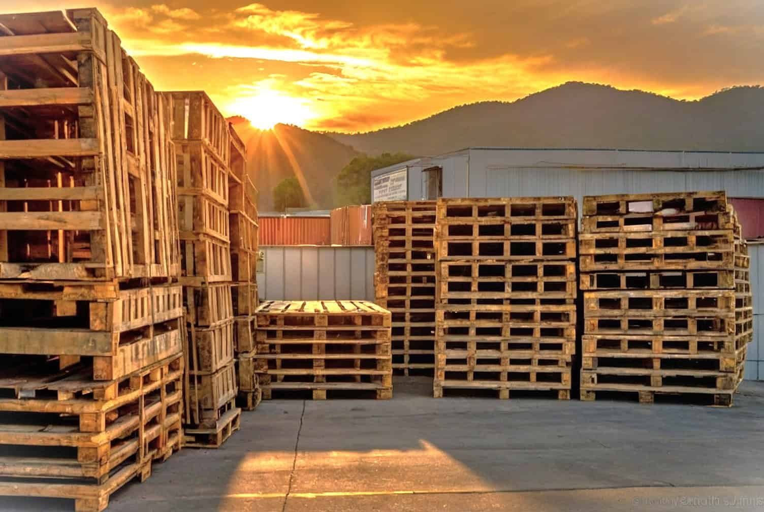 purchase pallets in jacksonville florida - Pallets Plus Brands