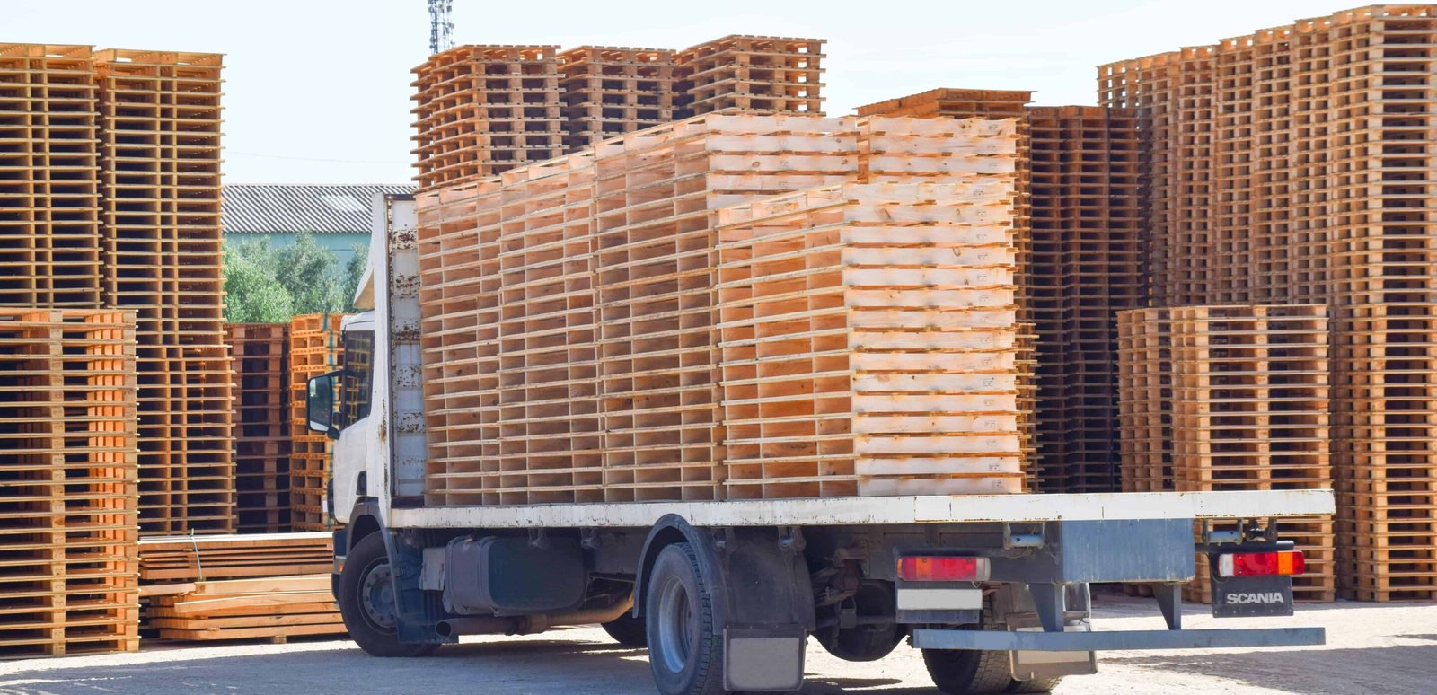 buy a lot of pallets now - Pallets Plus Brands